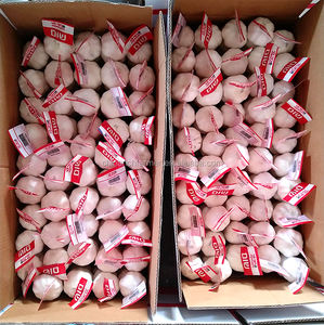 Nuovo raccolto fresco normale aglio bianco piccolo pacchetto prezzo all'ingrosso - Product Image 4