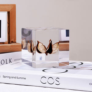60*60mm Cube Specimen Clear Acrylic Embedding Home Decoration <strong>Creative</strong> Nature Paperweight <strong>Artifact</strong> Block - Product Image 1