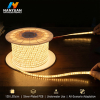 Bandes lumineuses LED étanches, bande lumineuse LED adaptée aux piscines, baignoires et fontaines. 24V IP68 120LEDs/m Luces Led