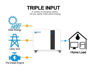 Hệ Thống Năng Lượng Mặt Trời MERITSUN Trang Chủ Hệ Thống Lưu Trữ Năng Lượng Pin Li-ion Với Biến Tần - Product Image 6