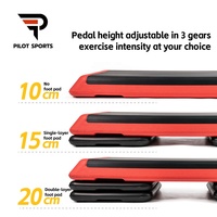 Plataforma de Ejercicio Ajustable Antideslizante para Gimnasio en Casa, Stepper Aeróbico y Tabla de Equilibrio de TPE, Precio de Fábrica Pilot Sports OEM