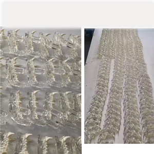 Modèle d'anatomie dentaire féline Ritsuki en résine transparente, mâchoire supérieure et inférieure de chat, spécimen pédagogique vétérinaire taille réelle - Product Image 1