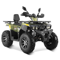 Tao Motor 2025 nouveau démarrage électrique entraînement par chaîne automatique ferme ATV Quad Bike 200cc ATV Quadriciclos