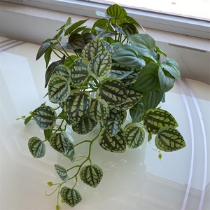 Cây Nhân Tạo Mini Bán Chạy Lá Dưa Hấu Handfuls 3D - Product Image 6