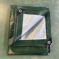 Bâche en PE imperméable laminée verte-argent 4x5m