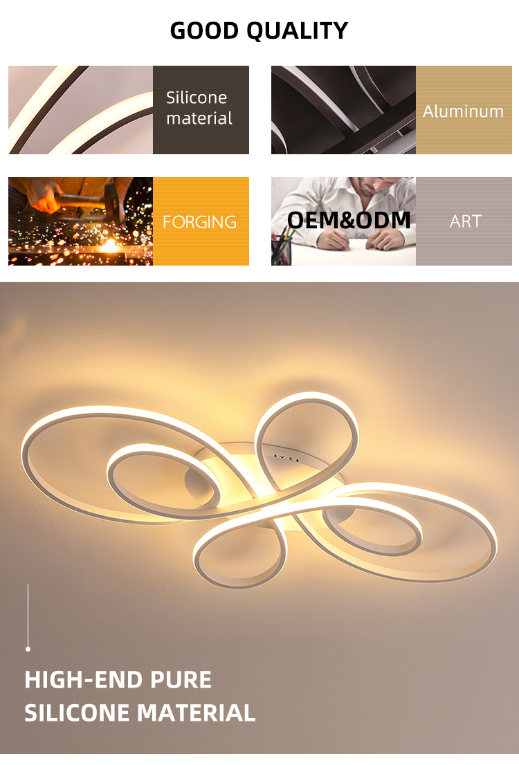 Newest Special Design Indoor Decor Sitting Room Modern Black White Led Ceiling Light
