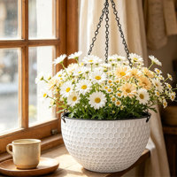 Pot de fleurs suspendu traditionnel auto-arrosant avec trous de drainage 4,74 L en PP durable, circulaire, non revêtu