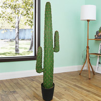 En Stock 143CM de hauteur en plastique herbe Cactus Design de luxe haute assurance Tropical artificiel PE Cactus pour paysage décoratif