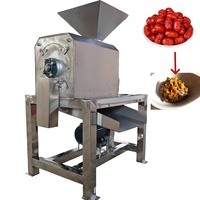 Fruitpulp- en zaadseparatiemachine, fruitpulper voor appel, mango, tomaat, druif, dadel, fruitpulper, ontpitter, vergruizer