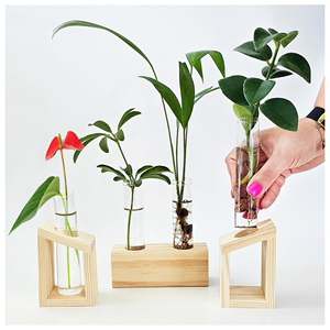 แท่นเพาะพันธุ์พืช 3 ชิ้น ทำจากไม้ พร้อมหลอดทดลองแก้ว 4 หลอด แจกันสำหรับปลูกพืชแบบไฮโดรโปนิกส์ - Product Image 1