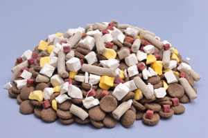 OEM ODM Hersteller Liefert Direkt Kostenlose Proben Ausgewogene Ernährung Hochprotein Natürlicher Geschmack Fettarm Bio-Hundetrockenfutter - Product Image 2