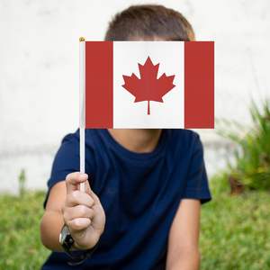 Paquete de 12 mini banderas de palo canadienses de 14X21cm de poliéster portátil para decoraciones de fiesta de <span class=keywords><strong>club</strong></span> de fútbol interior y exterior - Product Image 4