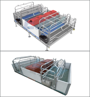 Équipement d'élevage de porcs de qualité exceptionnelle, élevage automatique de porcs, cages de mise bas