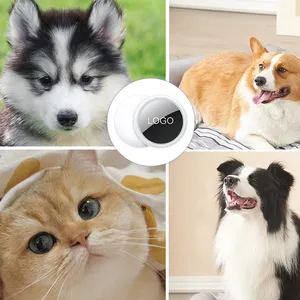 Heiße Verkäufe Smart 4g Bt GPS Dog Tracker Airtag Kinder Haustier Schlüssel bund Tracker Mini GPS Cat Tracker