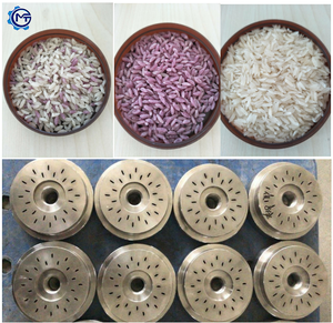 Nouvelle extrudeuse de riz enrichie artificielle portative de grande capacité de vis jumelle d'acier inoxydable faisant la ligne de production de machine - Product Image 5