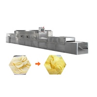 Efficiënte Droger Fruitmachine Industrie Riem Magnetron Droger Fruit En Groente Droger