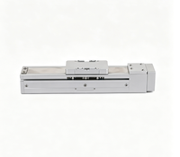 Module linéaire de haute précision, course de 650 mm, vis à billes G12, actuateur linéaire ±0,03 mm pour équipement de découpe laser semi-conducteur
