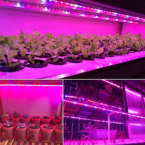 12V 5050 LED Grow <b>Light</b> Strip 60LEDs/M Full Spectrum Flexible Plant Lamp for Indoor Hydroponic Greenhouse Succulent Veg Flower - Product Image 4