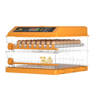 Machine d'incubation économique entièrement automatique, mini-incubateur pour 128 œufs