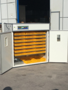 Fully Automatic Electric <strong>Hatching</strong> <strong>1848</strong> Chicken <strong>Egg</strong> <strong>Incubator</strong> IH1848 - Product Image 3