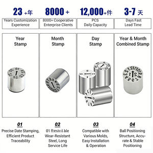 スタンプ金型特殊カスタム挿入ピン製造プラスチック金型日付プラスチック射出成形金型カスタマイズモデル - Product Image 2