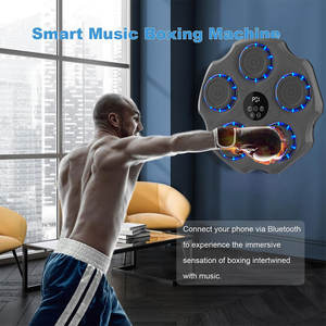 Máquina <span class=keywords><strong>de</strong></span> <span class=keywords><strong>boxeo</strong></span> R2049 2025 nueva llegada <span class=keywords><strong>precio</strong></span> competitivo máquina <span class=keywords><strong>de</strong></span> <span class=keywords><strong>boxeo</strong></span> inteligente montada en la pared OEM aceptar - Product Image 4