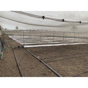 Válvula solenoide de riego Zanchen 24V AC con cuerpo de plástico y conexión roscada para sistemas de riego por goteo - Product Image 3