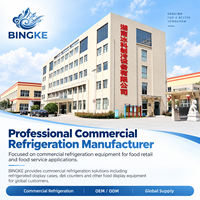 Réfrigérateur vertical à 2 portes, fabrication OEM pour les magasins de proximité, vente de boissons