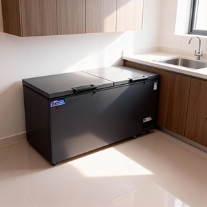 Neveras Comerciales, Congeladores Profundos y Refrigeradores: Unidades con Puerta de Vidrio para Restaurantes, Congeladores de Supermercado de Pie - Product Image 6
