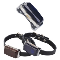 QZT étanche Pet Gps Tracker chien chat Animal Gps dispositif de suivi avec application mobile gratuite