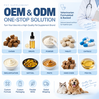 Bubuk Kulit & Bulu Alami untuk Anjing Penyerapan Cepat Biotin Kolagen Omega-3 Suplemen Hewan Peliharaan OEM ODM Label Pribadi