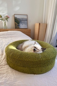 Chất Lượng Cao Sang Trọng Vòng Boucle Giường Con Chó Thiết Kế Mới Thoải Mái Siêu Mềm Vật Nuôi Làm Tổ Cho Chó Và Mèo Nhung & Vật Liệu Bọt - Product Image 4