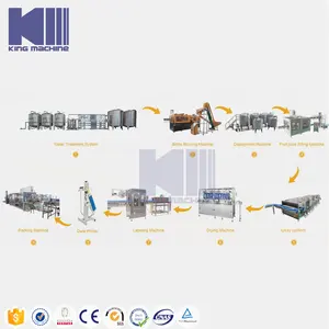 Turn-key 500-2000ml Automatic Line Liquid Filling Rinsing Sealing And Packing Machine