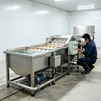Machine à laver à bulles à grande capacité, conçue pour un fonctionnement continu, idéale pour les lignes d'assemblage des usines de transformation de produits frais.