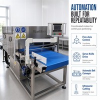 Wanlisonic Machine de découpe automatique commerciale à ultrasons pour la découpe de la pâte et du pain à usage domestique, neuve ou d'occasion