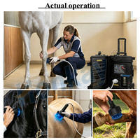 Machine à ondes de choc ciblées pour le soin osseux équin, non invasive, haute intensité, profondeur de pénétration 0-66 mm, pour chevaux