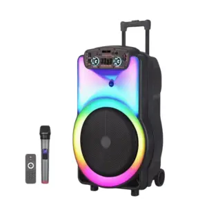 NDRY-12 per esterno Wireless portatile Trolley cena basso karaoker BT altoparlante Wireless Mic RGB luce grande potenza DJ Party altoparlante
