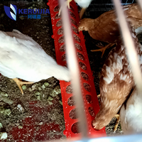 Équipement pour animaux mangeoire à poulet pigeon en plastique pour abreuvoir cage poulet volaille