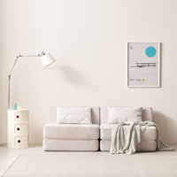 Ensemble de canapés pliables modernes Isla, gain de place, mousse compressée sous vide, installation rapide, tissu imperméable intelligent, modèle pour salon et animaux domestiques