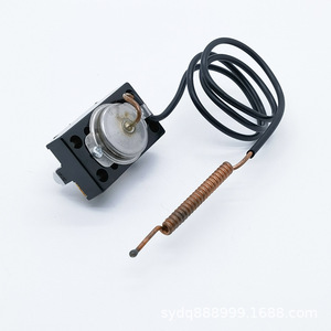 WQB40A/45A/55A <b>Electric</b> <b>Water</b> <b>Heater</b> Instantaneous Quick-Heating Storage with Temperature Control Capillary Heat Limiter - Product Image 2