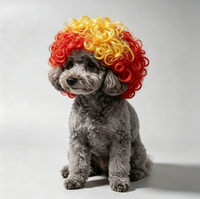 Perruque pour animaux de compagnie, pour chats et chiens, perruque afro universelle pour Halloween, accessoires capillaires personnalisés, toutes saisons