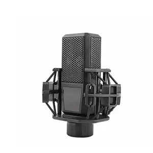 Custom Logo Vacuum Tube Microphone/Pro Tube Recording Condenser Mic