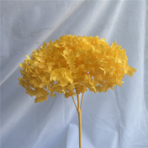 Rama Larga de Flor de Hortensia <span class=keywords><strong>Anna</strong></span> Preservada, Decorativa, Individual, para Decoración del Hogar, Bodas, Festivales, Eventos y Escenarios - Product Image 3