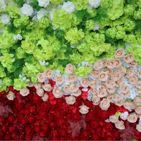 Dinding Bunga Sutra Berlapis Warna-warni dengan Mawar Sutra Putih, Hijau, Pink, dan Merah untuk Dekorasi Rumput & Pernikahan Eropa