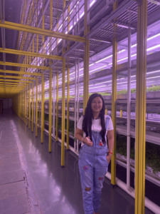 Trong nhà hệ thống thủy canh dọc hệ thống thủy canh kênh PVC cho trồng thủy canh hệ thống - Product Image 4