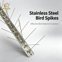 Piques anti-oiseaux en acier inoxydable massif de 50 cm, écologiques, avec base durable, contrôle des animaux INNOCULEUX pour vergers et balcons