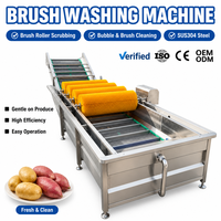 Automatische groentewasmachine, bubbelwasmachine, 304 roestvrijstalen voedselreinigingsapparatuur voor verwerkingsfabrieken