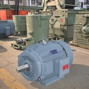 सबसे ज्यादा बिकने वाली वानन वाई 4 श्रृंखला अल्ट्रा-उच्च दक्षता तीन-चरण अतुल्यकालिक मोटर | ie4 दक्षता | औद्योगिक अनुप्रयोग - Product Image 1