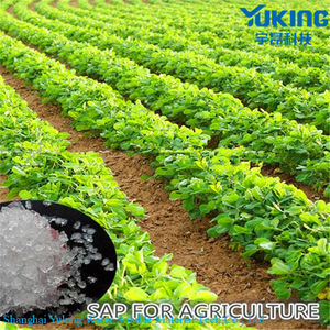 Sève Agriculture Super Absorbant Polymère SAP Retenue D'eau <span class=keywords><strong>Sol</strong></span> <span class=keywords><strong>Pour</strong></span> L'économie D'eau - Product Image 2