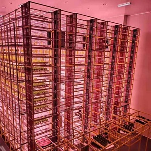 Conteneur de ferme d'intérieur, système hydroponique isolé, usine verticale d'eau de <span class=keywords><strong>safran</strong></span>, d'épine, de fraise - Product Image 6